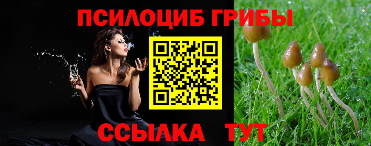 Лесозаводск  Псилоцибиновые грибы Magic Shrooms  Вход с VPN 