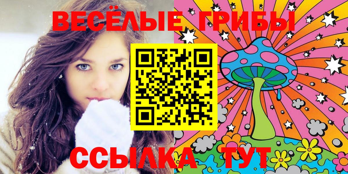 Псилоцибиновые грибы Psilocybine cubensis Лесозаводск